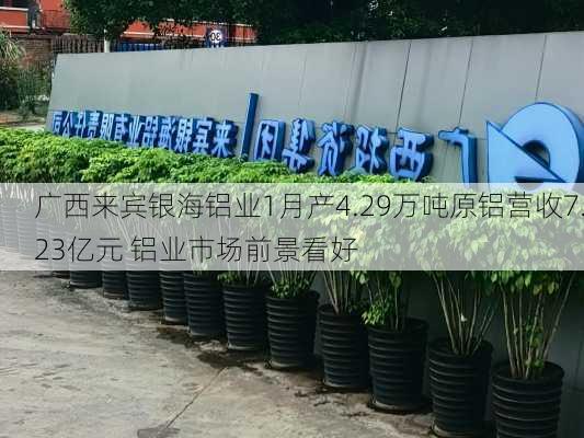 广西来宾银海铝业1月产4.29万吨原铝营收7.23亿元 铝业市场前景看好