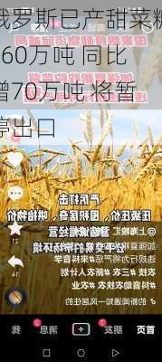 俄罗斯已产甜菜糖660万吨 同比增70万吨 将暂停出口