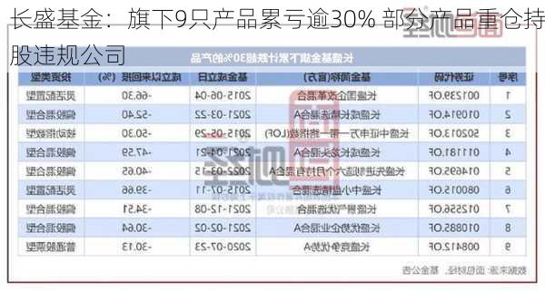 长盛基金：旗下9只产品累亏逾30% 部分产品重仓持股违规公司