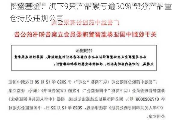 长盛基金：旗下9只产品累亏逾30% 部分产品重仓持股违规公司