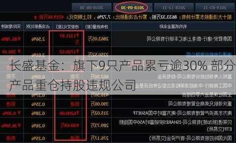 长盛基金：旗下9只产品累亏逾30% 部分产品重仓持股违规公司