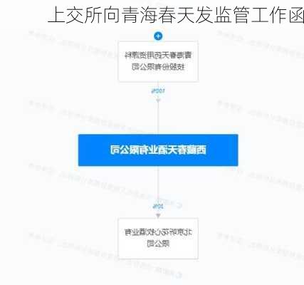 上交所向青海春天发监管工作函