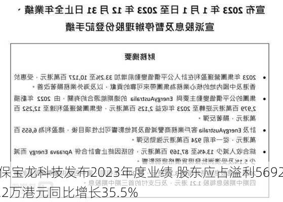 保宝龙科技发布2023年度业绩 股东应占溢利5692.2万港元同比增长35.5%