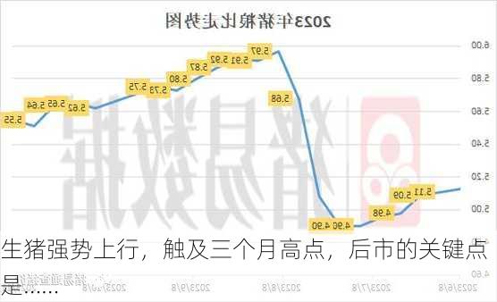 生猪强势上行，触及三个月高点，后市的关键点是……