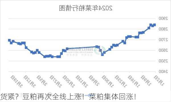 货紧？豆粕再次全线上涨！菜粕集体回涨！