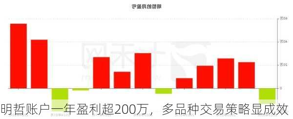 明哲账户一年盈利超200万，多品种交易策略显成效