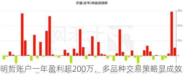 明哲账户一年盈利超200万，多品种交易策略显成效