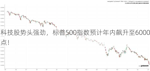 科技股势头强劲，标普500指数预计年内飙升至6000点！