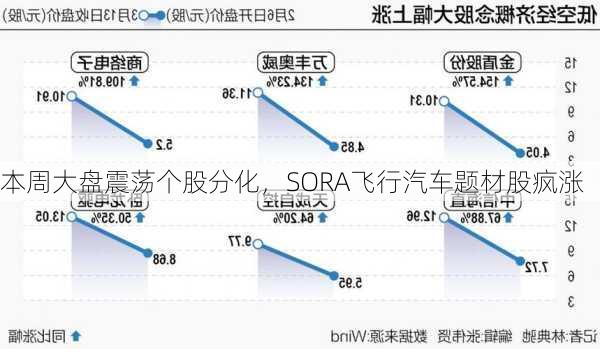 本周大盘震荡个股分化，SORA飞行汽车题材股疯涨