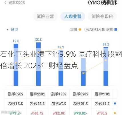 石化巨头业绩下滑9.9% 医疗科技股翻倍增长 2023年财经盘点