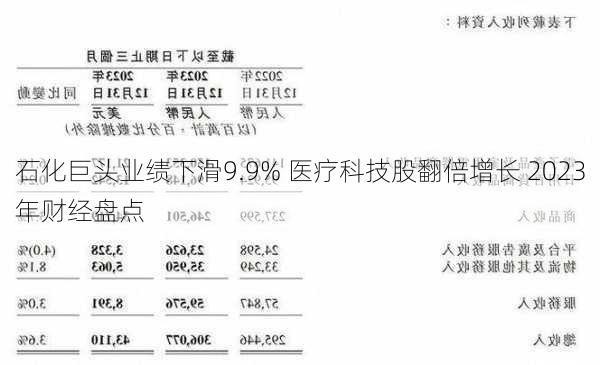 石化巨头业绩下滑9.9% 医疗科技股翻倍增长 2023年财经盘点