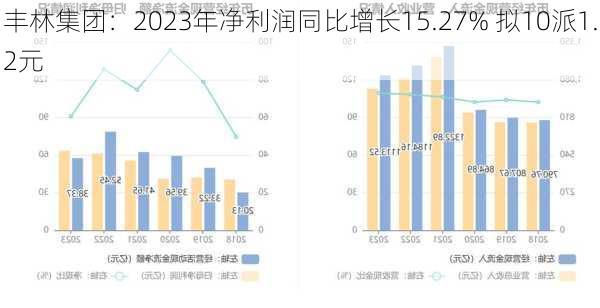 丰林集团：2023年净利润同比增长15.27% 拟10派1.2元