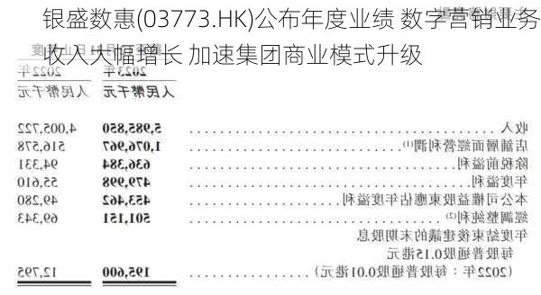 银盛数惠(03773.HK)公布年度业绩 数字营销业务收入大幅增长 加速集团商业模式升级