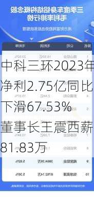 中科三环2023年净利2.75亿同比下滑67.53% 董事长王震西薪酬181.83万