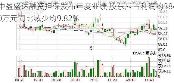 中盈盛达融资担保发布年度业绩 股东应占利润约3840万元同比减少约9.82%