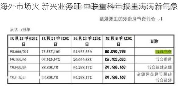 海外市场火 新兴业务旺 中联重科年报里满满新气象