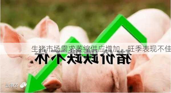 生猪市场需求萎缩供应增加，旺季表现不佳