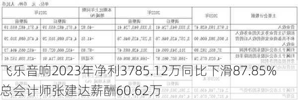 飞乐音响2023年净利3785.12万同比下滑87.85% 总会计师张建达薪酬60.62万