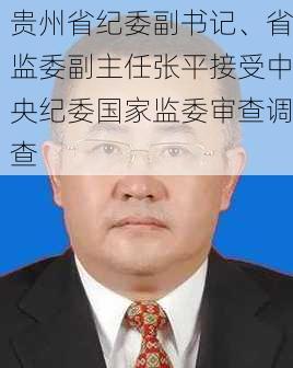 贵州省纪委副书记、省监委副主任张平接受中央纪委国家监委审查调查