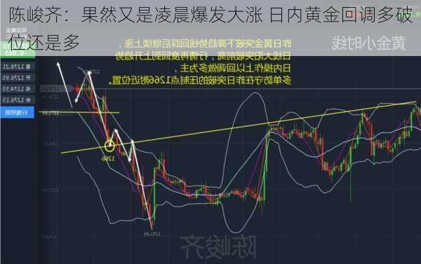 陈峻齐：果然又是凌晨爆发大涨 日内黄金回调多破位还是多