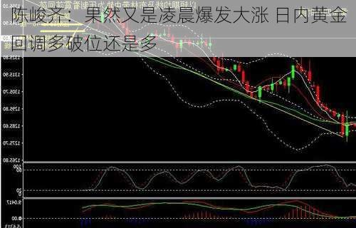 陈峻齐：果然又是凌晨爆发大涨 日内黄金回调多破位还是多