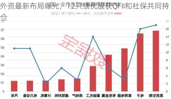 外资最新布局曝光，12只绩优股获QFII和社保共同持仓