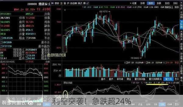 利空突袭！急跌超24%