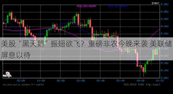 美股“黑天鹅”振翅欲飞？重磅非农今晚来袭 美联储屏息以待