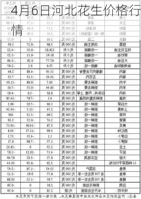 4月6日河北花生价格行情