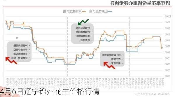 4月6日辽宁锦州花生价格行情