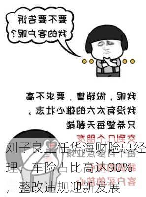 刘子良上任华海财险总经理，车险占比高达90%，整改违规迎新发展