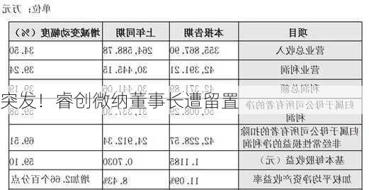 突发！睿创微纳董事长遭留置