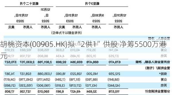 胡桃资本(00905.HK)拟“2供1”供股 净筹5500万港元