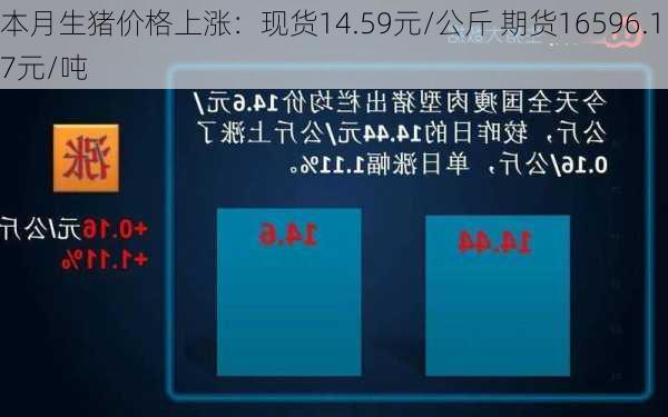 本月生猪价格上涨：现货14.59元/公斤 期货16596.17元/吨