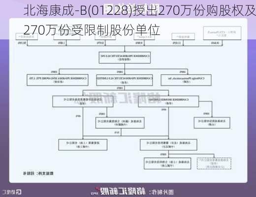 北海康成-B(01228)授出270万份购股权及270万份受限制股份单位