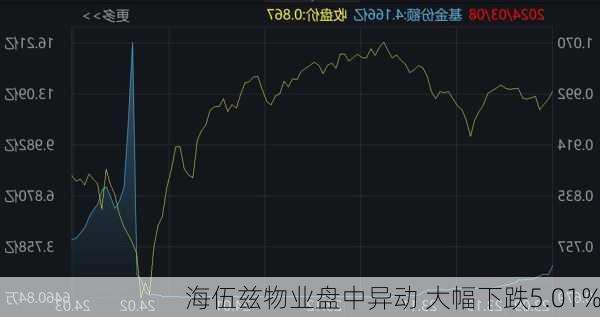 海伍兹物业盘中异动 大幅下跌5.01%