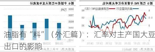 油脂有“料”（外汇篇）：汇率对主产国大豆出口的影响