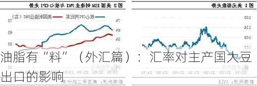 油脂有“料”（外汇篇）：汇率对主产国大豆出口的影响