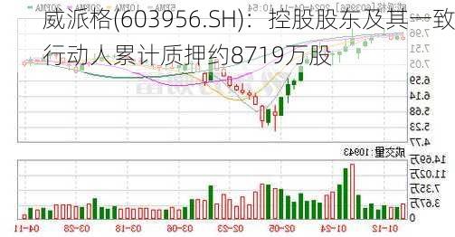 威派格(603956.SH)：控股股东及其一致行动人累计质押约8719万股