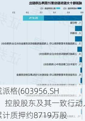 威派格(603956.SH)：控股股东及其一致行动人累计质押约8719万股