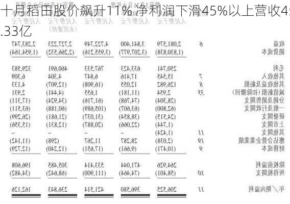 十月稻田股价飙升11% 净利润下滑45%以上营收45.33亿