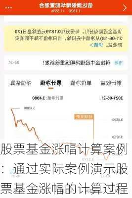 股票基金涨幅计算案例：通过实际案例演示股票基金涨幅的计算过程