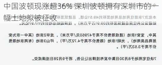 中国波顿现涨超36% 深圳波顿拥有深圳市的一幅土地拟被征收