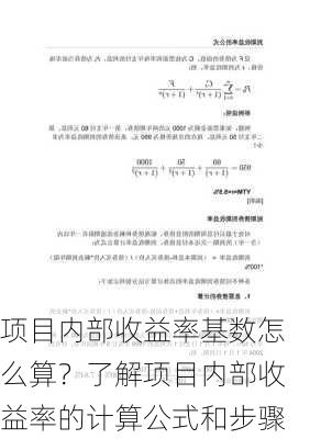 项目内部收益率基数怎么算？了解项目内部收益率的计算公式和步骤