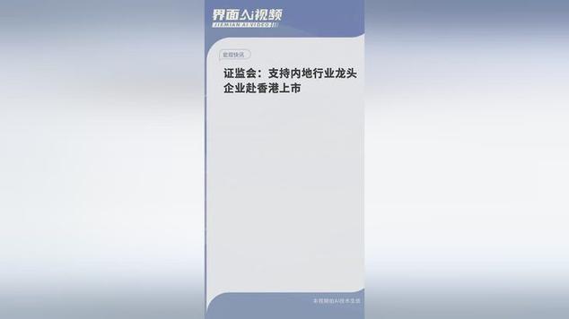 证监会：支持内地行业龙头企业赴港上市！