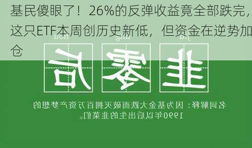 基民傻眼了！26%的反弹收益竟全部跌完，这只ETF本周创历史新低，但资金在逆势加仓