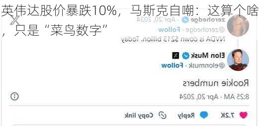 英伟达股价暴跌10%，马斯克自嘲：这算个啥，只是“菜鸟数字”