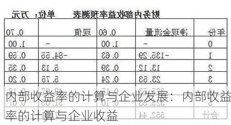 内部收益率的计算与企业发展：内部收益率的计算与企业收益