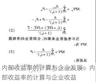 内部收益率的计算与企业发展：内部收益率的计算与企业收益