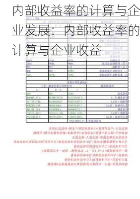 内部收益率的计算与企业发展：内部收益率的计算与企业收益